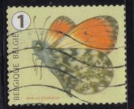 [Butterflies, Tipi XLF]