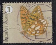 [Butterflies, Tipi XLC]