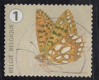 [Butterflies, Tipi XLC]