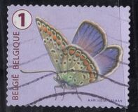 [Butterflies, Tipi XLH]