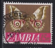 [Local Motifs - Value in (K)wacha and (N)gwee, Typ AM]