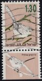 [Songbirds, Вид AUG]