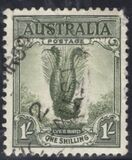 [Superb Lyrebird, Typ N]