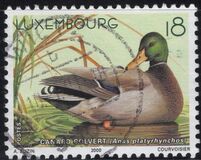 [Ducks, type ARP]