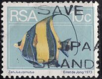 [Flora and Fauna, type NO]