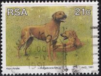 [Animal Breeding in South Africa, type AAS]