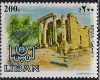 [Ancient Ruins, տեսակ YV]