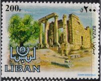 [Ancient Ruins, տեսակ YV]