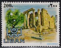 [Ancient Ruins, տեսակ YV]