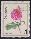 [Roses, 유형 BPX]