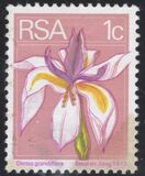 [Flora and Fauna, type NG]