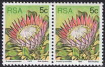 [Flora - Protea Plants, tyyppi PK]