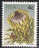 [Flora - Protea Plants, tyyppi PJ]