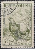 [Animals, type BQD]