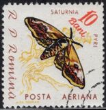 [Butterflies & Moths, type BTG]