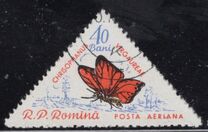 [Butterflies & Moths, type BTI]