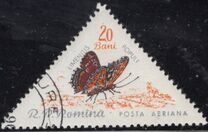 [Butterflies & Moths, type BTH]