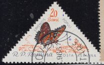 [Butterflies & Moths, タイプ BTH]