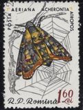 [Butterflies & Moths, タイプ BTK]