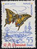 [Butterflies & Moths, タイプ BTJ]