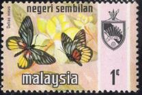 [Butterflies, Scrivi AK]