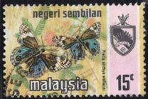 [Butterflies, Scrivi AP]