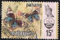 [Sultan Abu Bakar & Butterflies, tip AN]