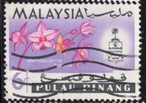 [Orchids, प्रकार AI]