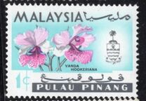 [Orchids, प्रकार AF]