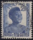 [Local Motives, type C]