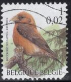 [Birds, タイプ CIH]