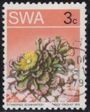 [Desert Plant, type DU]