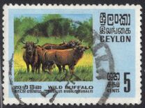 [Wildlife, Вид GB]