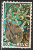 [Marine Life, type FM]