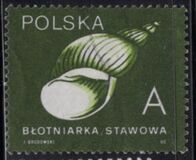 [Stamps for Domestic Mail: Shells of Snails, نوع DDE]