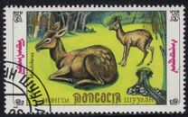 [Siberian Musk Deer, type BWG]