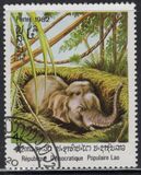 [Indian Elephant, Typ TG]