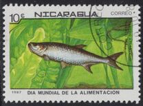 [World Food Day, type BYG]