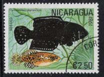 [Tropical Fish, type BCR]