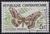 [Butterflies, tegund H]