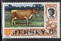 [Definitive Issue, ประเภท G]