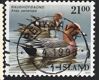 [Birds - Ducks, type RP]