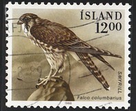 [Birds, type PB]