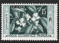 [Coffee Bush, tyyppi BH]