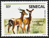 [Animals of Guembeul Nature Reserve, 类型 AAJ]