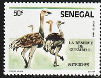 [Animals of Guembeul Nature Reserve, 类型 AAI]