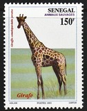 [Animals, тып AOS]