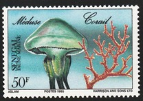 [Marine Life, type AAS]