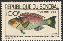 [Fish, տեսակ FI]