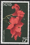 [Flowers, tipas ED]